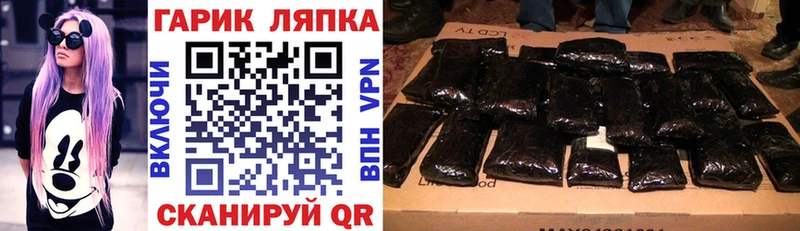 ГАШ гарик блэк спрут ссылка Димитровград