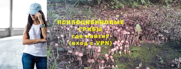 синтетический гашиш Алексин