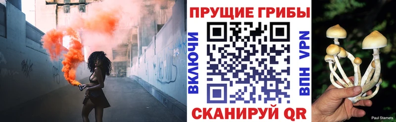 Псилоцибиновые грибы ЛСД  shop официальный сайт  Димитровград 