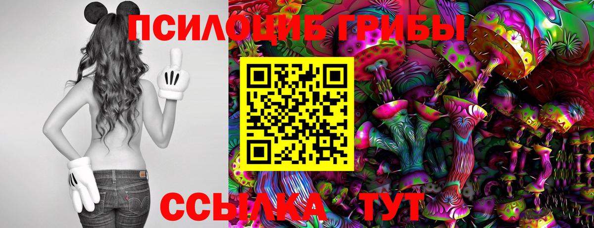 дарнет шоп  Псилоцибиновые грибы мухоморы  Вход с VPN  Димитровград  Псилоцибиновые грибы прущие грибы 