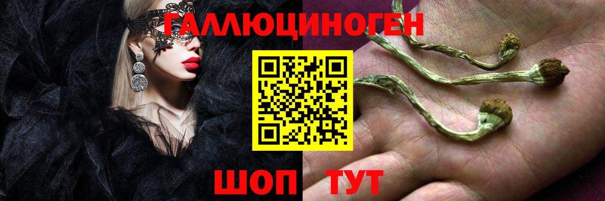 Псилоцибиновые грибы Magic Shrooms Димитровград