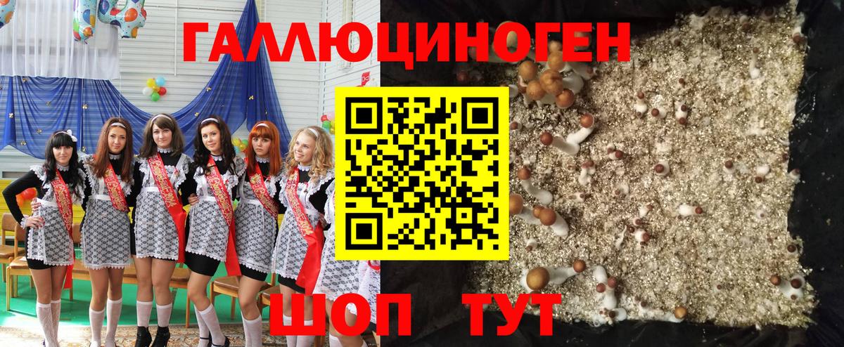 Кодеин Димитровград